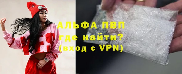 ПСИЛОЦИБИНОВЫЕ ГРИБЫ Касимов