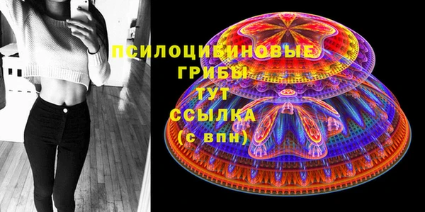 Альфа ПВП Карталы