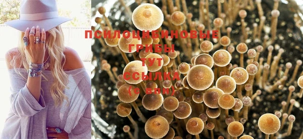 амфетамин Каменногорск