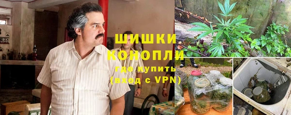 ПСИЛОЦИБИНОВЫЕ ГРИБЫ Касимов
