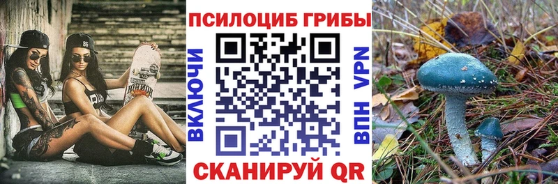 Галлюциногенные грибы Cubensis  гидра tor  Называевск 